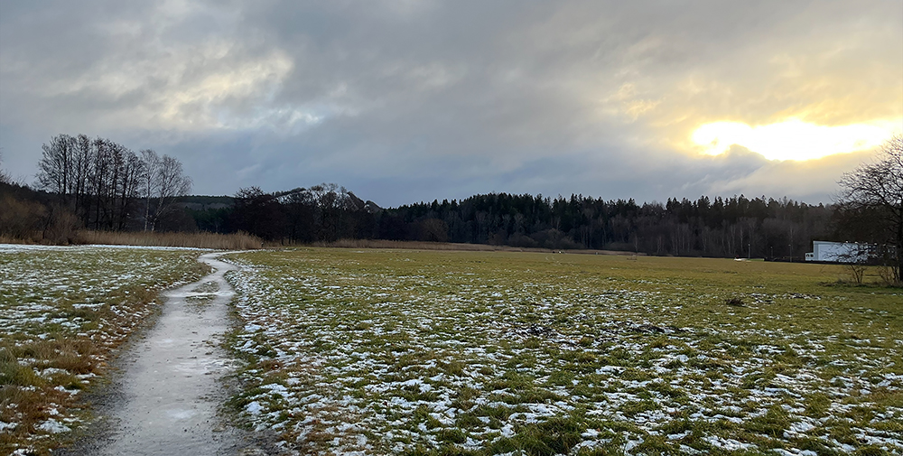 albyangspark_01